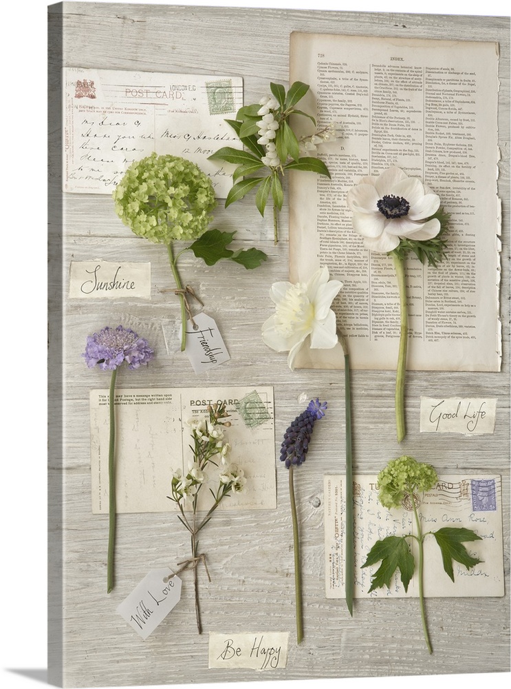 Photograph of different floral plants laying on letters and other documents.