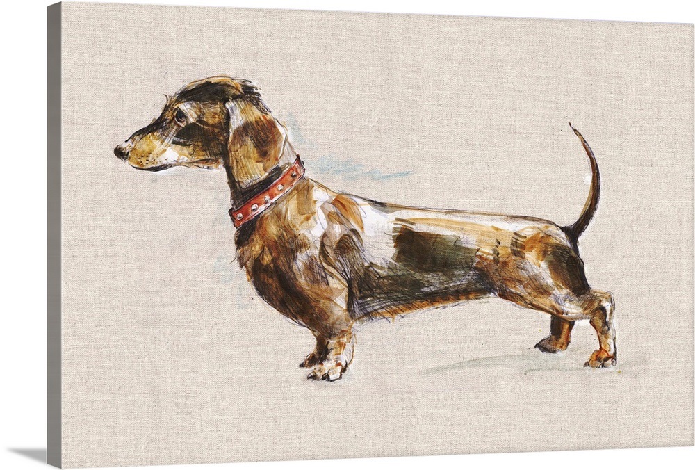 Dachshund Wall Art, Canvas Prints, Framed Prints, Wall Peels Great