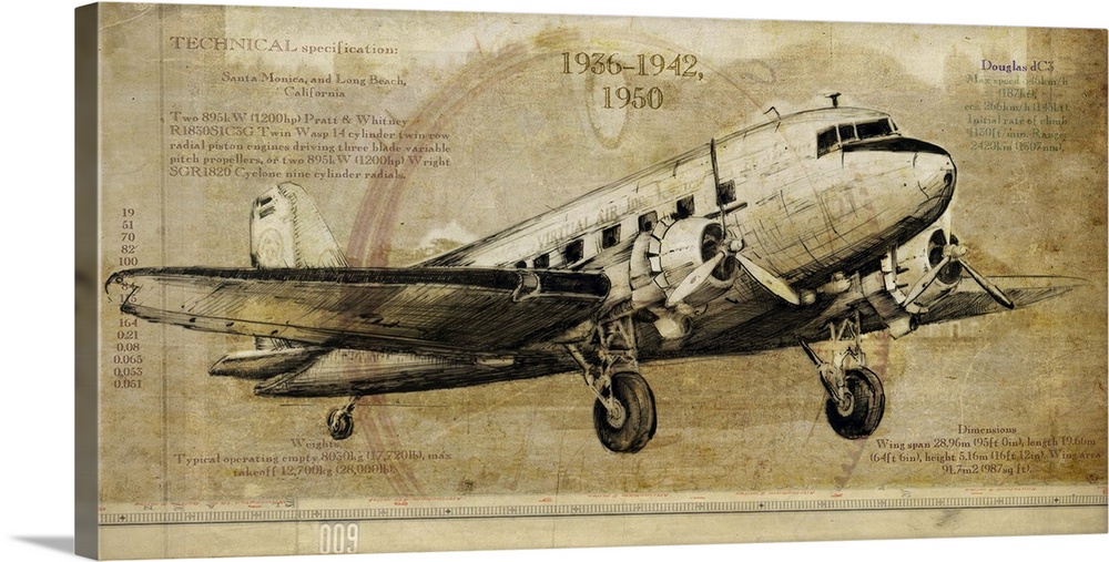 Contemporary artwork of a vintage airplane on a weathered background.