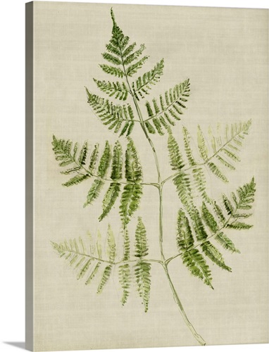 Fern IV | Great Big Canvas