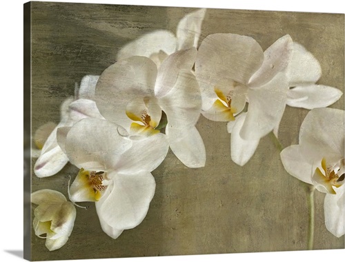 Painted Orchid | Great Big Canvas