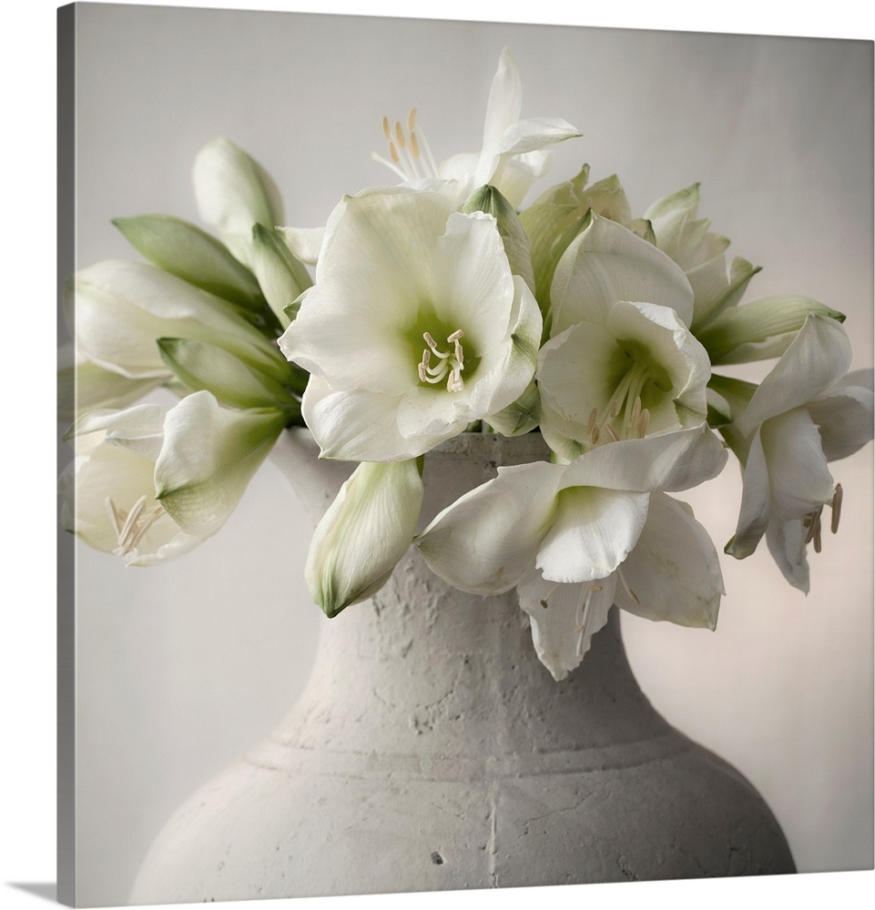 A large bouquet of white flowers in a large stone vase.