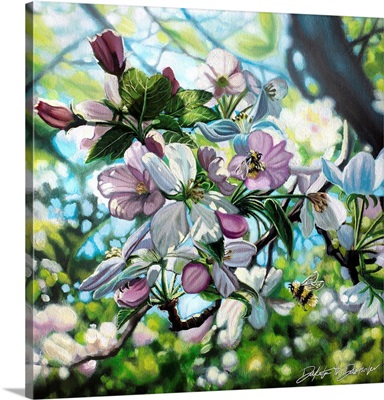 Apple Blossoms And Bumble Bees
