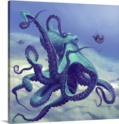 Octopus - Blue