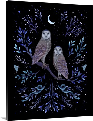 Owls In The Moonlight