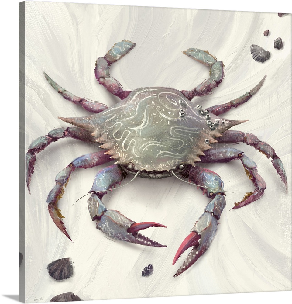 Painting of blue crab with seashells on abstract background.