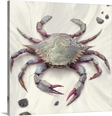 Painted Blue Crab