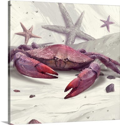 Painted Peekytoe Crab