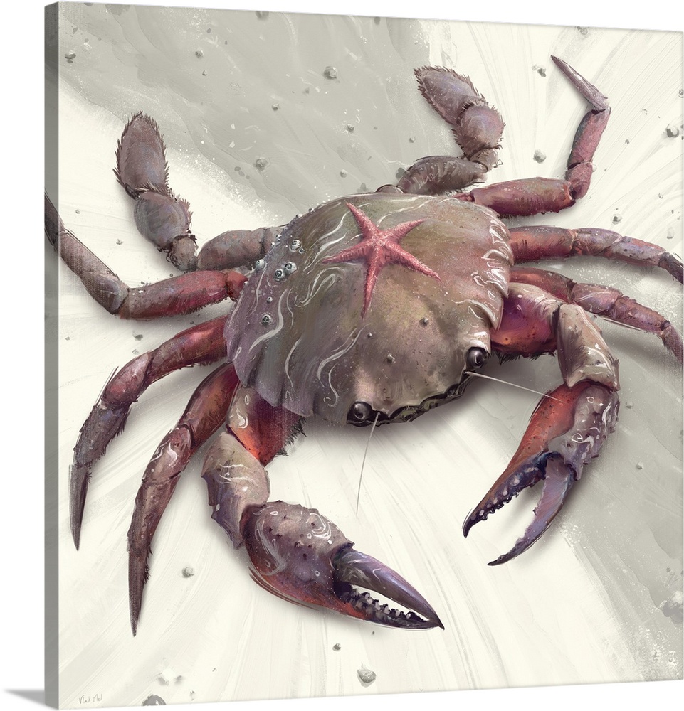 Painting of stone crab on abstract background.