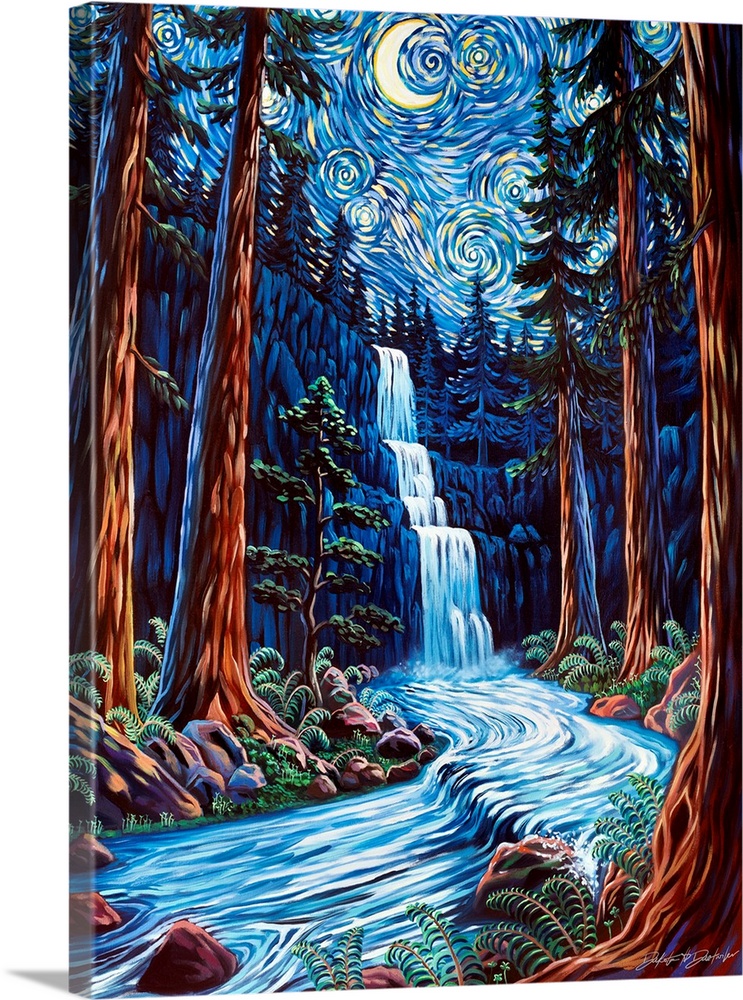 Redwood Starry Night