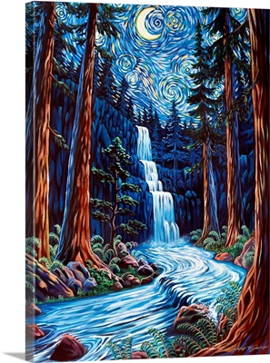 Redwood Starry Night