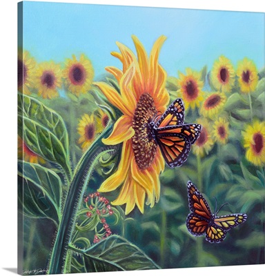 Sunflowers & Butterflies II