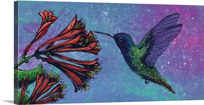 The Hummingbird