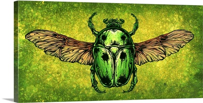 The Scarab Beetle