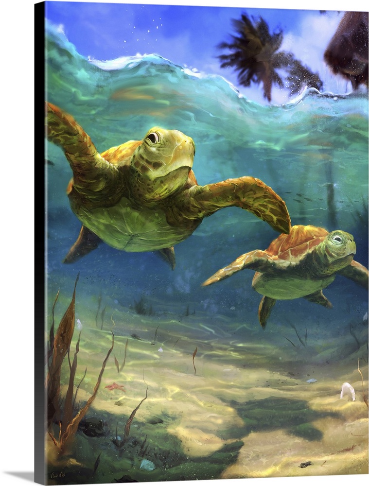 Painting of turtles swimming in colorful clear tropical underwater.