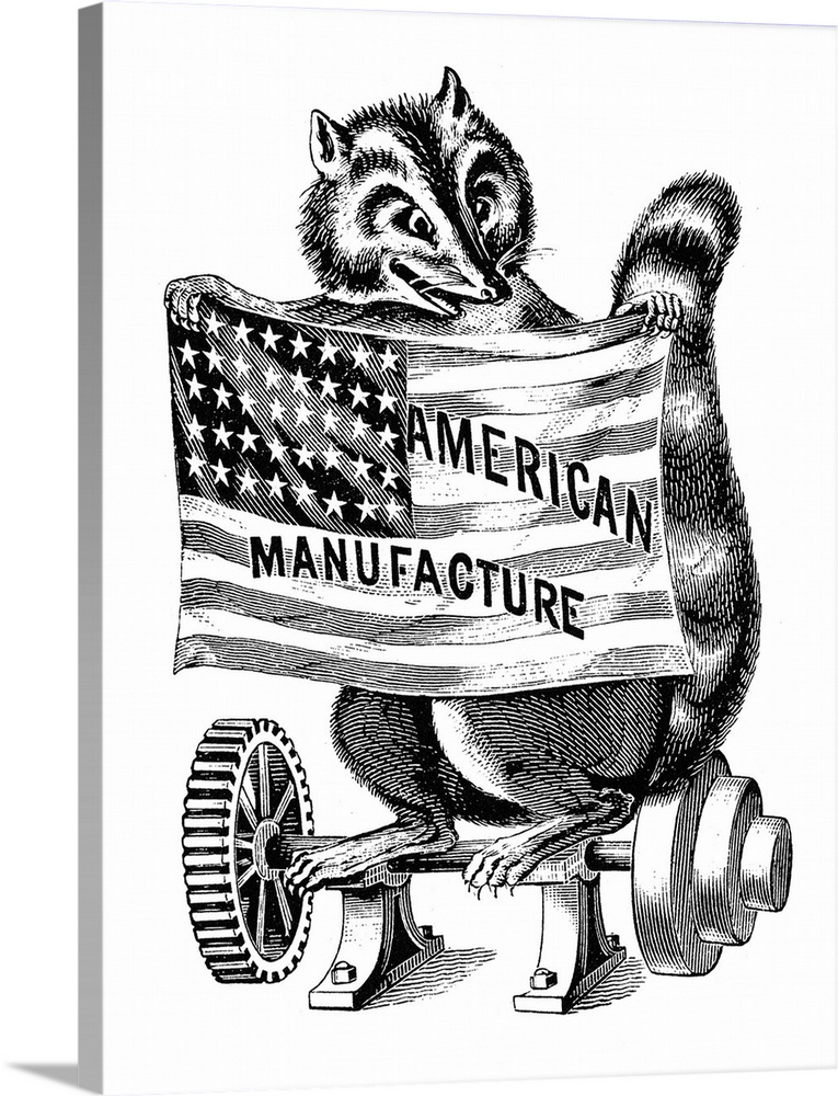 Raccoon, C1890. A Raccoon Holding A Flag Promoting American Manufacture. Engraving, C1890.