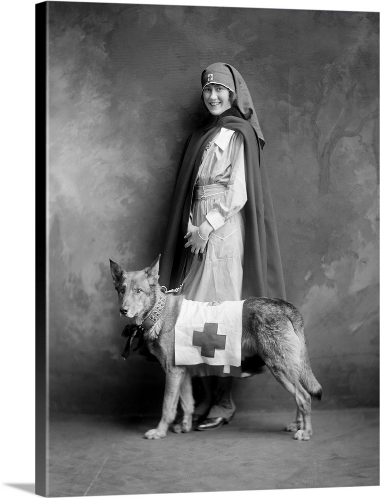 A woman in a Red Cross uniform with a rescue dog. Photograph, c1916.