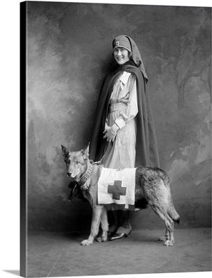 A woman in a Red Cross uniform with a rescue dog, 1916