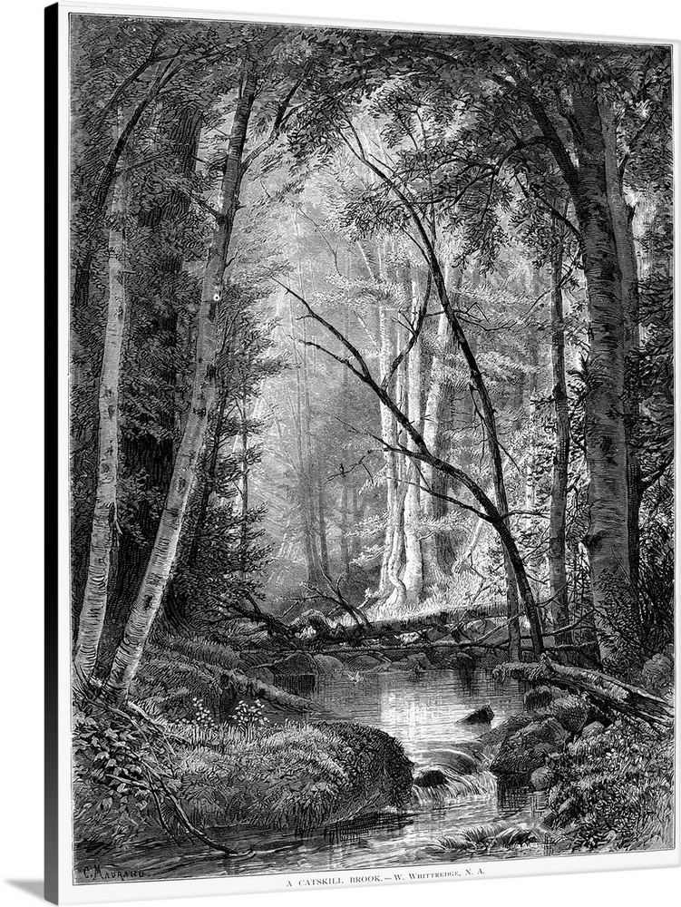 Catskill Brook, 1873. Wood Engraving, American, 1873, After A Painting By Worthington Whittredge.