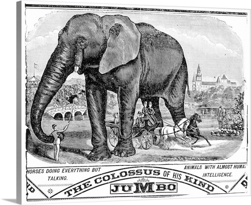 Circus Handbill, C1884. Jumbo the Elephant Featured On An American Handbill For Barnum, Bailey And Hutchinson Circus. Wood...