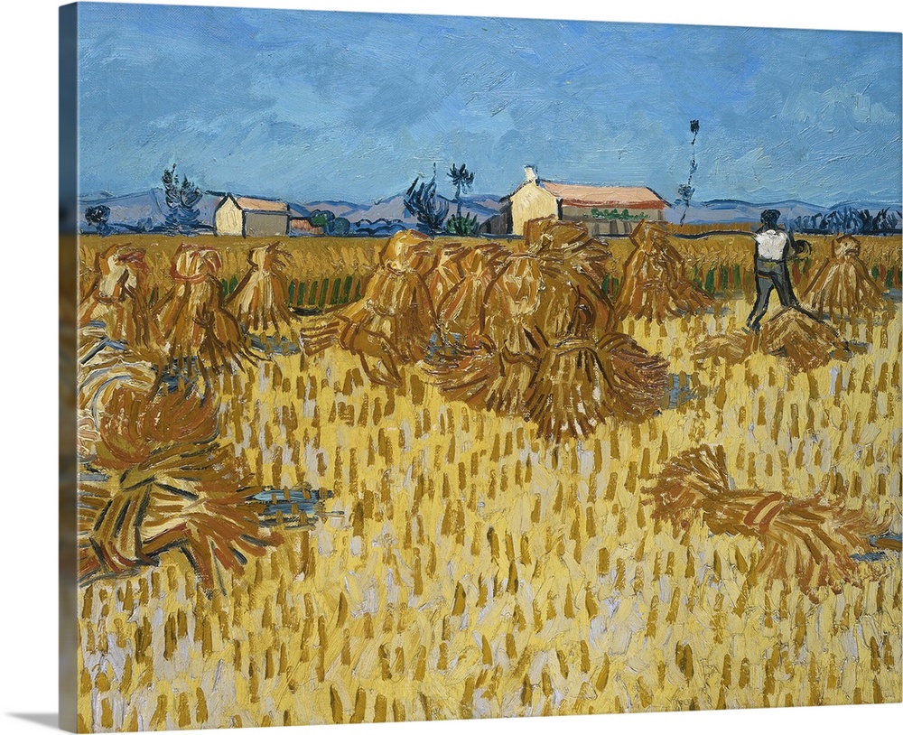 Van Gogh, Corn Harvest. 'Corn Harvest In Provence.' Oil On Canvas, Vincent Van Gogh, 1888.