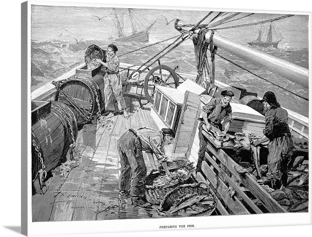 Cod Fishing, 1891. Fishermen On the Grand Banks Off the Coast Of Newfoundland Preparing their Catch. Wood Engraving, Ameri...