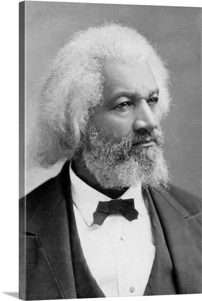 FREDERICK DOUGLASS (c1817-1895). American abolitionist and writer. Photograph, c1880.