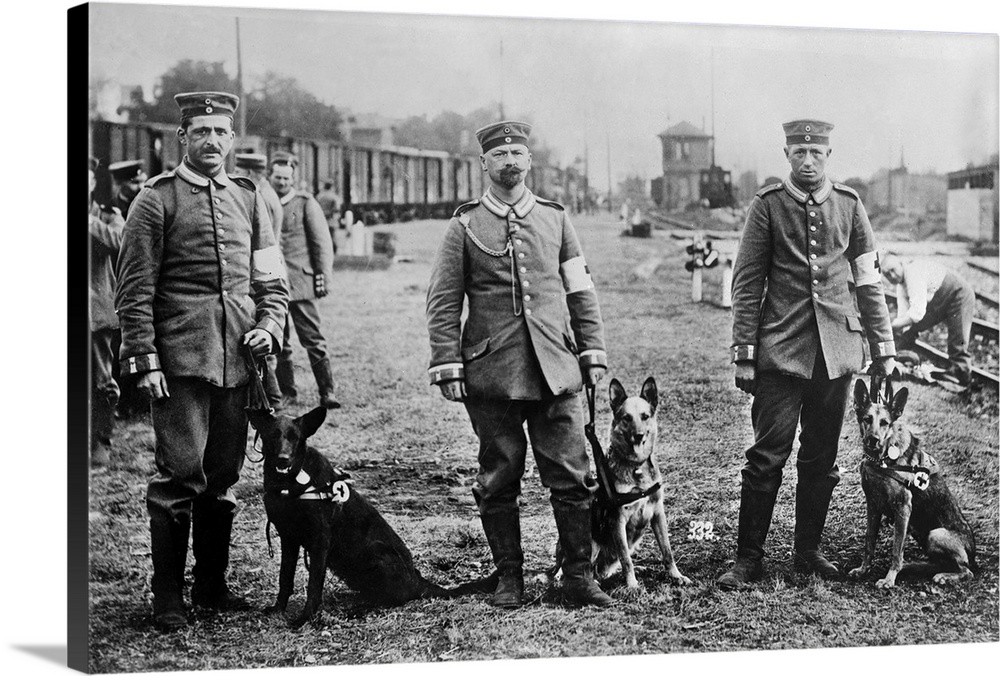 German Red Cross medics and dogs. Photograph, c1914.