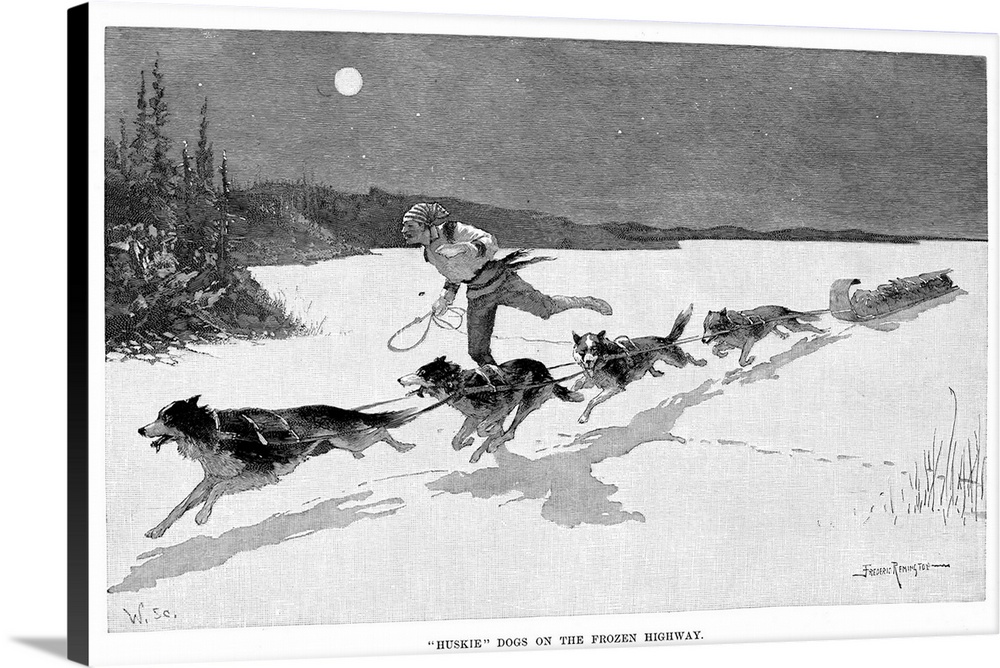 Canada, Fur Trade, 1892. 'Huskie Dogs On the Frozen Highway.' A Canadian Fur Trapper And His Team Of Husky Dogs Pulling A ...