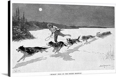 Huskie Dogs On the Frozen Highway, 1892