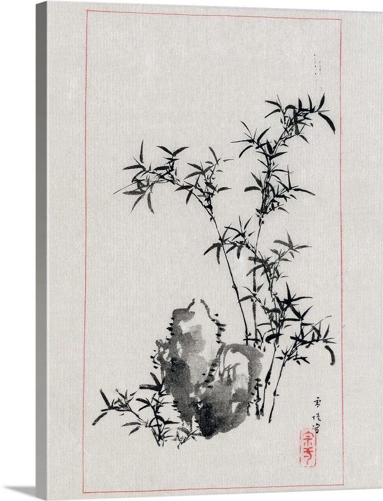Japan, Bamboo, 1878. A Japanese Drawing Of Bamboo And Rocks In A Garden. Drawing By Settei Haswgawa, 1878.