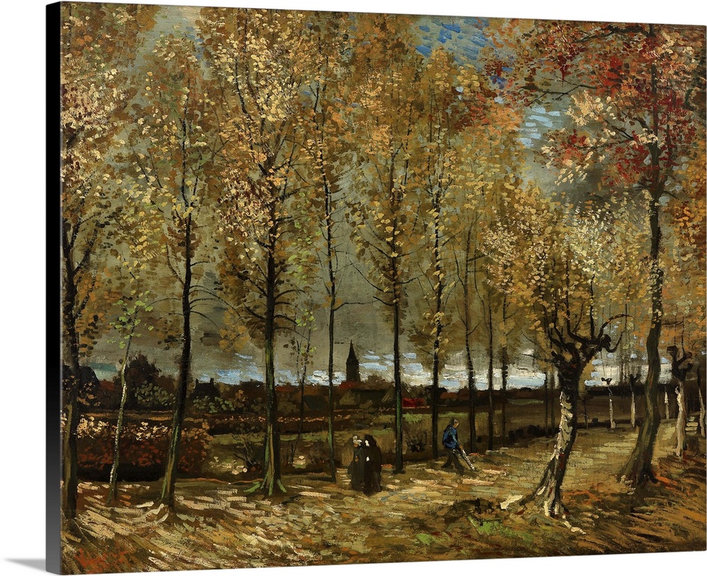 Van Gogh, Poplars, 1885. 'Lane With Poplars Near Nenen.' Oil On Canvas, Vincent Van Gogh, 1885.
