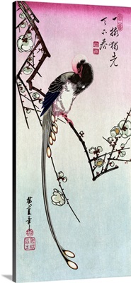 Magpie And Plum Blossom, 19th Century