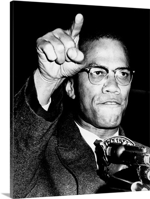 Malcolm X (1925-1965)