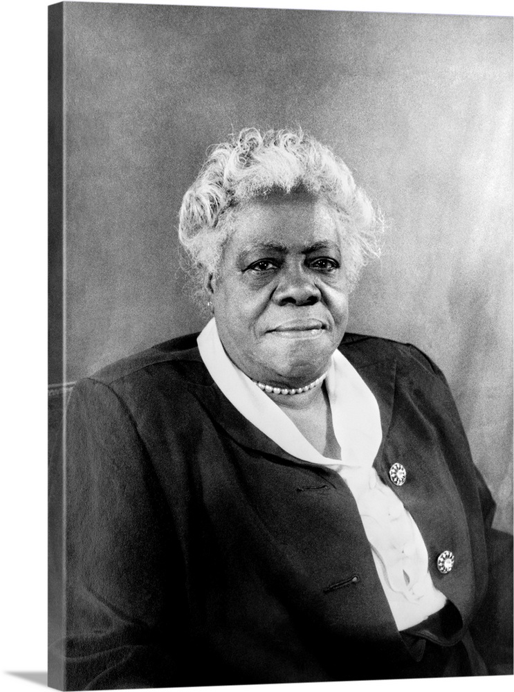 MARY MCLEOD BETHUNE (1875-1955). American educator and civil rights leader. Photograph by Carl Van Vechten, 1949.