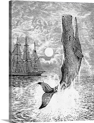 Melville: Moby Dick