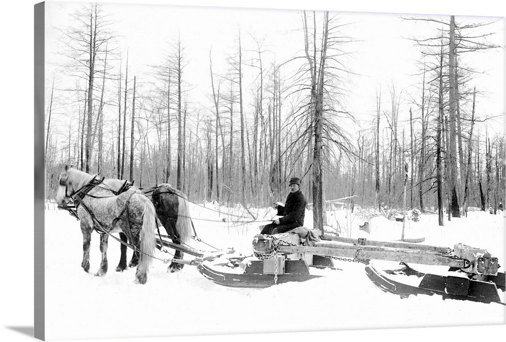 Michigan, Lumbering. A Lumberjack Logging With Horsedrawn Sled During the Winter In Michigan. Photograph, c1880-1899.