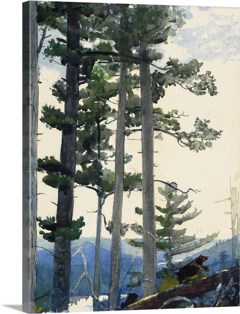 Homer, Old Settlers, 1892. Watercolor On Paper, Winslow Homer, 1892.