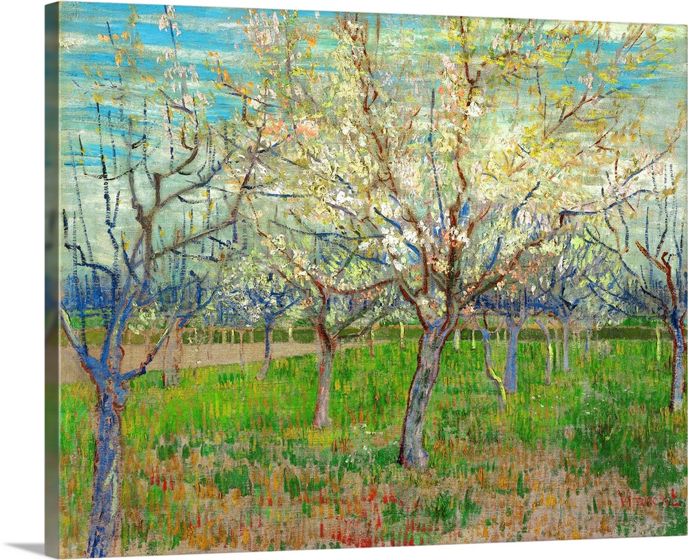 Van Gogh, Orchard, 1888. 'Orchard.' Oil On Canvas, Vincent Van Gogh, 1888.