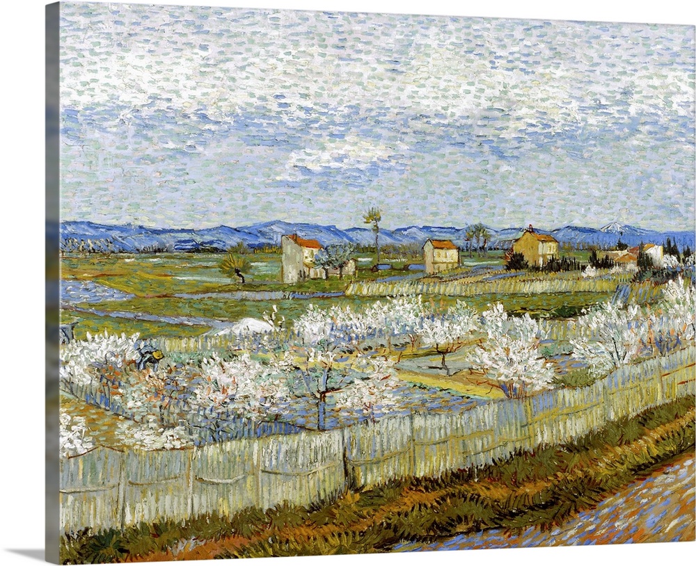 Van Gogh, Peach Tree, 1889. Peach Trees In Blossom. Oil On Canvas, 1889, By Vincent Van Gogh.