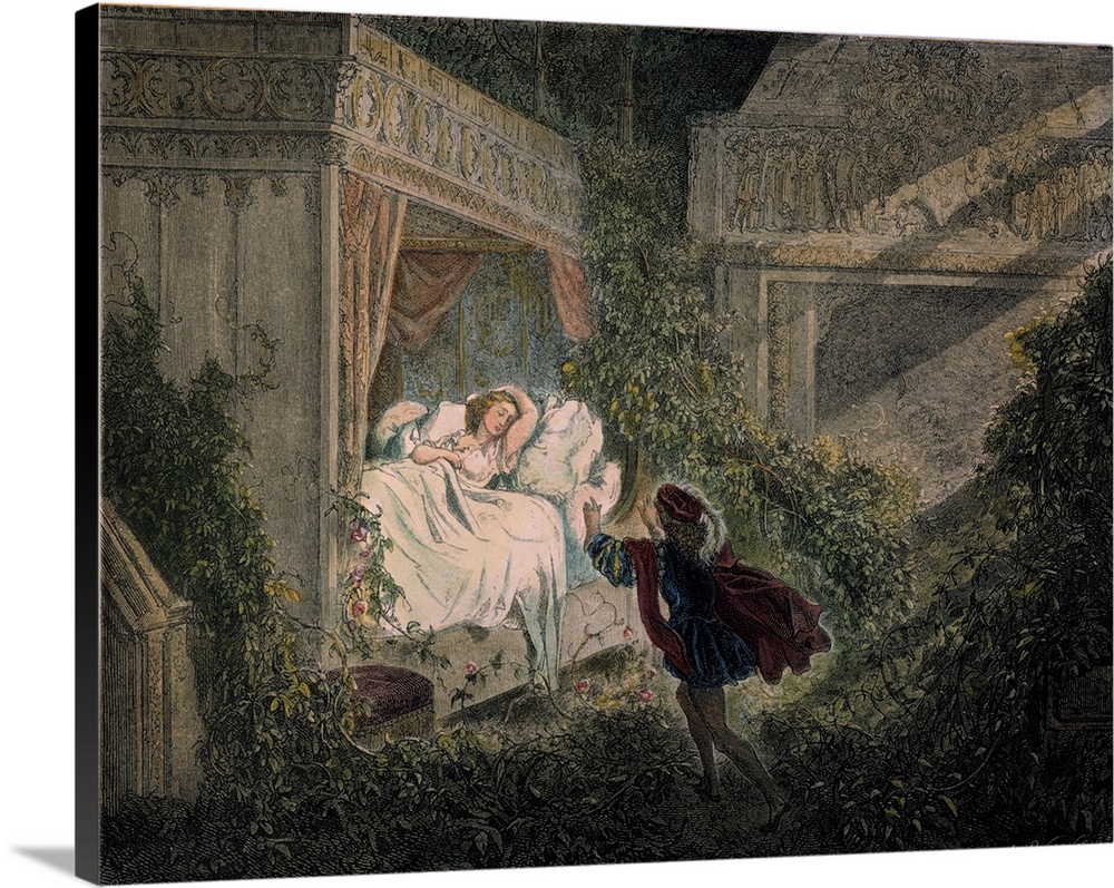 The prince discovering Sleeping Beauty. Colored engraving from an 1867 edition of the Perrault fairy tale illustrated afte...