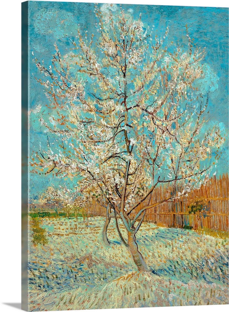 Van Gogh, Peach Tree, 1888. 'Pink Peach Tree.' Oil On Canvas, Vincent Van Gogh, 1888.