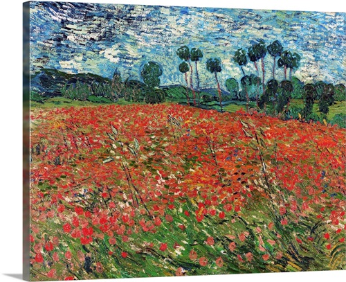 Poppy Field Stretched Canvas Print - 30"x24"