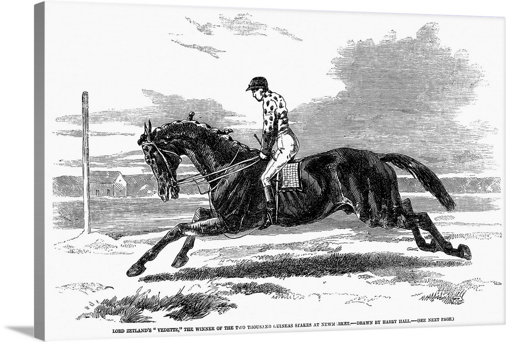 Race Horse, 1857. 'Lord Zetland's Vedette, the Winner Of the Two thousand Guineas Stakes At Newmarket.' Wood Engraving, En...