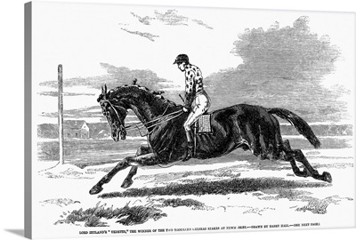 Race Horse, 1857