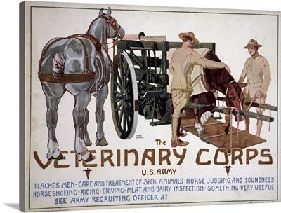 Recruiting poster advertising the Veterinary Corps of the U.S. Army, 1919
