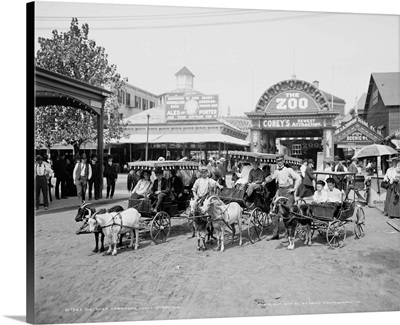 The goat carriages at Coney Island, Brooklyn, New York, 1904