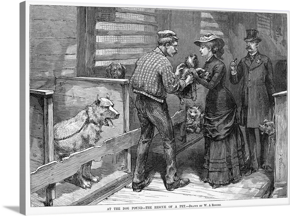 New York, Dog Pound, 1883. The Rescue Of A Pet At the Dog Pound In New York City. Wood Engraving, American, 1883, After A ...