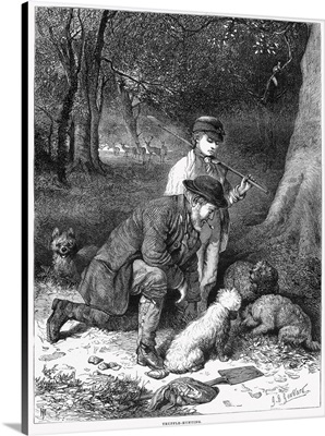 Truffle Hunters, 1869