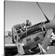 image thumbnail of Tuskegee Airmen mechanics Marcellus Smith (left) and Roscoe Brown, working on a fighter plane at Ramitelli Airfield, Italy...